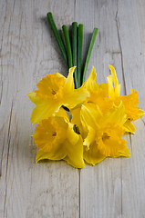 Image showing Jonquil flowers