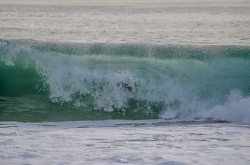 Image showing Yadin Nicol