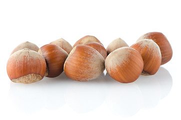 Image showing Fresh hazelnuts 