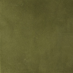 Image showing Dark green leather