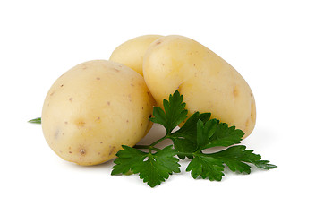 Image showing New potatoes and green parsley