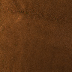 Image showing Suede background