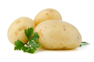 Image showing New potatoes and green parsley