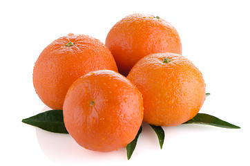 Image showing Ripe tangerines or mandarin