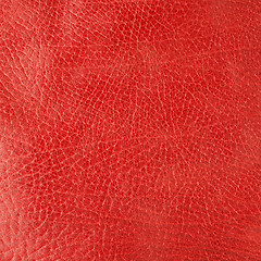 Image showing Red leather 