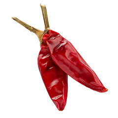 Image showing Two red hot chili pepper