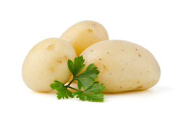 Image showing New potatoes and green parsley