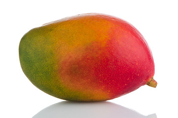 Image showing Mango fruit