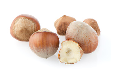 Image showing Fresh hazelnuts 