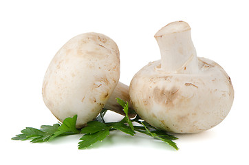 Image showing Champignon mushrooms and parsley leaves 