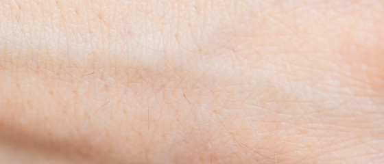 Image showing human skin