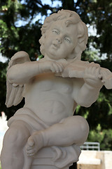 Image showing Angel musician