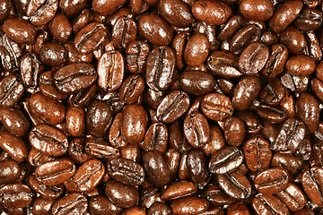 Image showing Coffee beans background