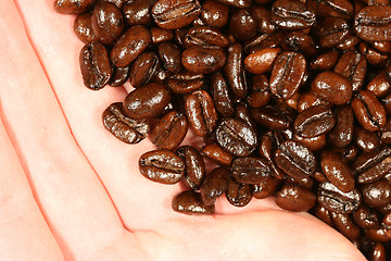 Image showing Coffee beans and a hand