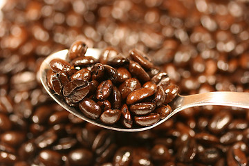 Image showing Spoon with coffee beans