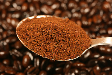 Image showing Ground coffee on a spoon