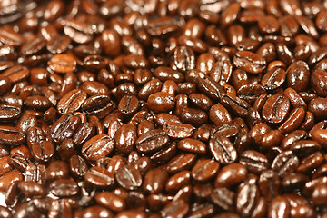 Image showing Coffee beans with selective focus