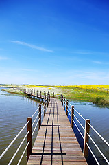 Image showing Wooden bridge into the lake of Alqueva , Portugal