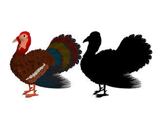 Image showing Turkey illustration