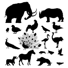 Image showing Wild animal silhouettes