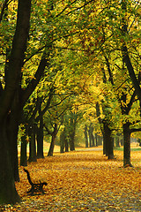 Image showing easy way in the autumn park 
