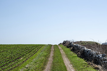 Image showing Dirt road over a hill