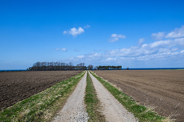 Image showing Straight dirt road