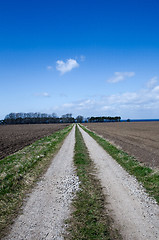 Image showing Dirt road to the coast