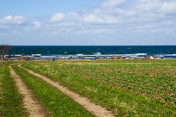 Image showing Dirt road to the coast