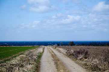 Image showing Farmers dirt road to the coast