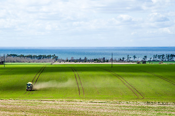 Image showing Tractor farming in a green field