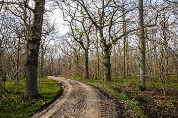 Image showing Winding dirt road