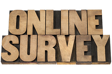Image showing online survey in wood type