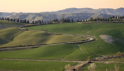 Image showing Tuscan hills