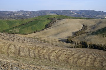 Image showing Tuscan hills