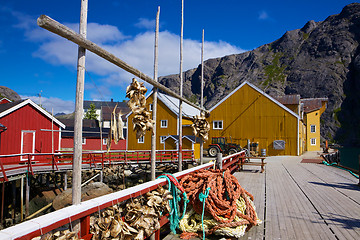 Image showing Fishing industry in Norway