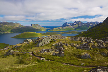 Image showing Green Norway