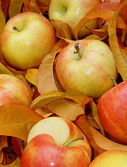 Image showing Apples