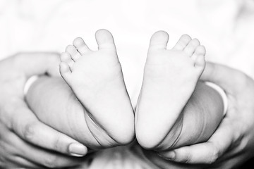 Image showing Newborn baby feet on female hands 