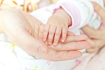 Image showing Close-up of baby's hand holding mother's hand