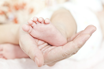 Image showing New born baby feet and mother hands