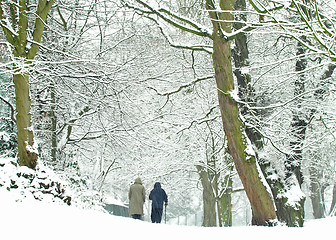 Image showing Winter Walk