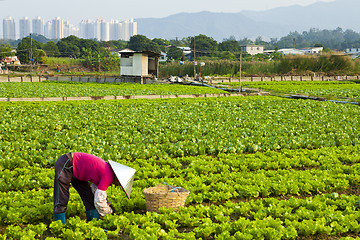 Image showing Farmer working on a field