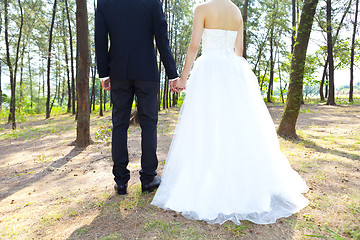 Image showing Love in forest, couple hand in hand concept.