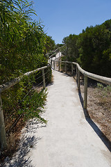 Image showing Pathway