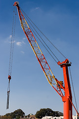 Image showing Red Crane