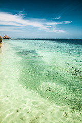 Image showing the tropical sea with blue water and sprats, Maldives