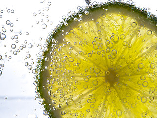 Image showing slice of lime in the water with bubbles