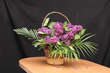 Image showing lilac