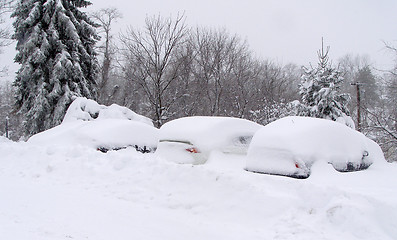 Image showing After snowfall